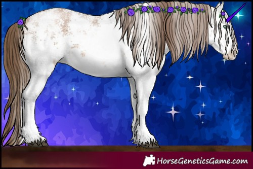 Horse Color:White Spotted Brown Pearl Sabino Rabicano
