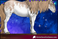 Horse Color:White Spotted Liver Chestnut Pearl Sabino 