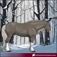 Horse Color:Silver Black Splash