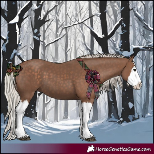 Horse Color:Silver Black Splash