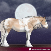 Horse Color:White Spotted Chocolate Palomino Pearl Splash Tobiano 