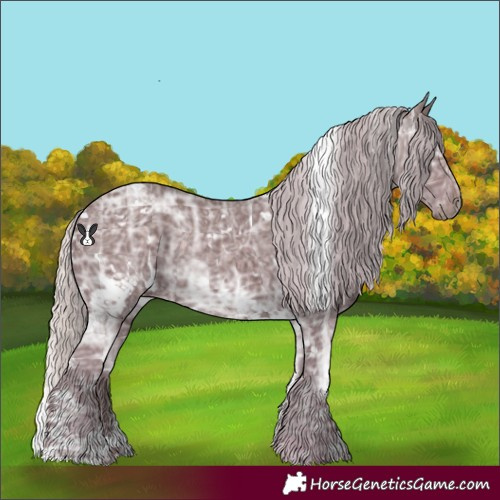Horse Color:White Spotted Chocolate Silver Smoky Black Chinchilla Ice 