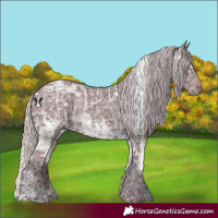 Horse Color:White Spotted Chocolate Silver Smoky Black Chinchilla Ice 