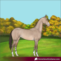 Horse Color:Sable Champagne Dun 