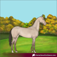 Horse Color:Sable Champagne Dun 