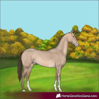 Horse Color:Amber Champagne Dun Sabino