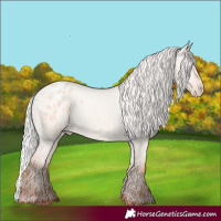 Horse Color:Silver Classic Champagne Dun Appaloosa Rabicano
