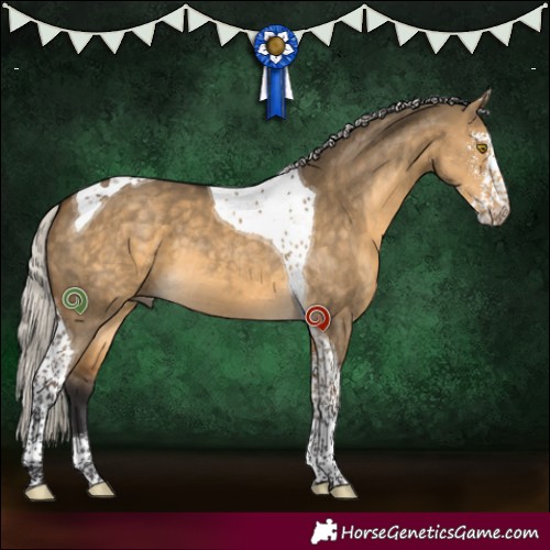 Horse Color:Silver Buckskin Dun Sabino Tobiano 