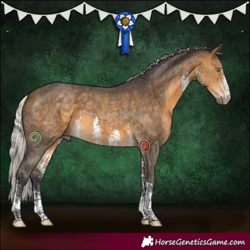 Horse Color:Silver Buckskin Sabino 