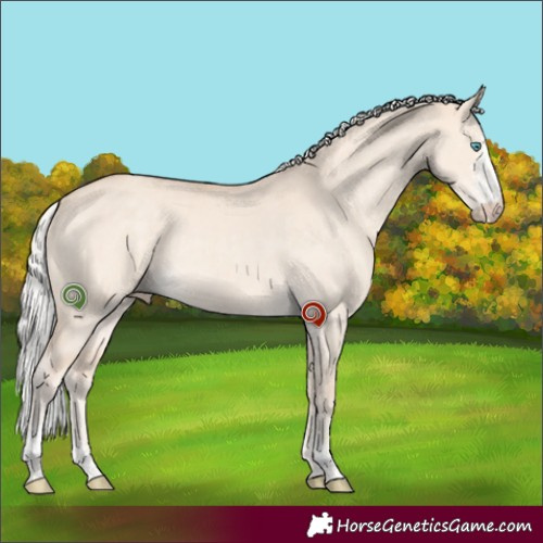 Horse Color:Silver Perlino Dun Sabino 