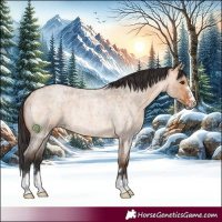 Horse Color:Bay Roan Dun Rabicano