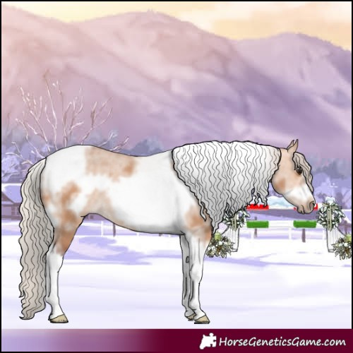 Horse Color:Silver Bay Dun Sabino Tobiano Frame Rabicano 