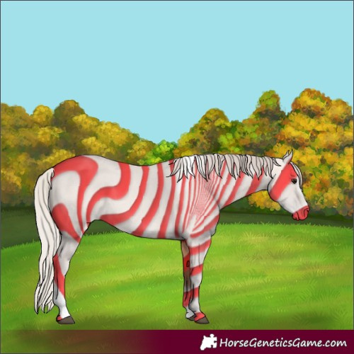 Horse Color:Silver Bay Dun Sabino Tobiano Frame Rabicano 