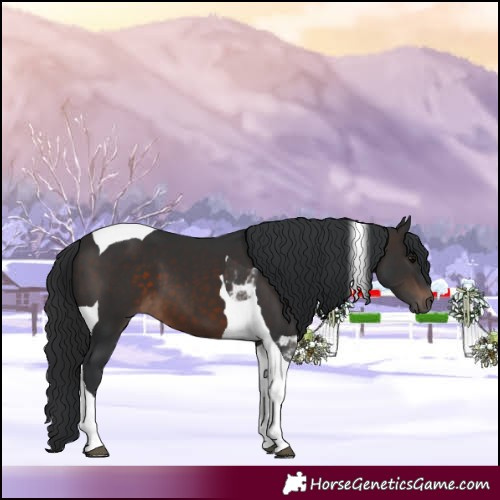 Horse Color:Brown Tobiano 