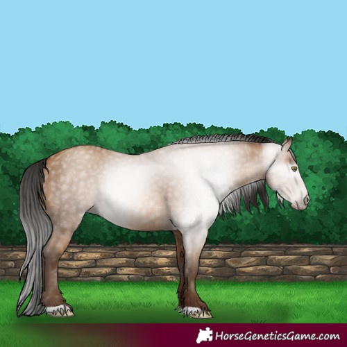 Horse Color:Gray Amber Champagne 