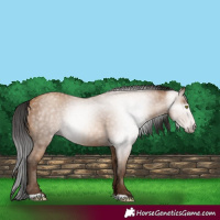 Horse Color:Gray Amber Champagne 