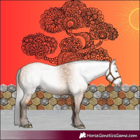 Horse Color:Gray Amber Champagne 