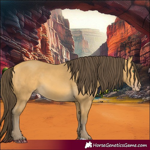 Horse Color:Amber Cream Champagne 