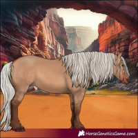 Horse Color:Silver Bay Dun 