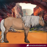 Horse Color:Silver Bay Dun
