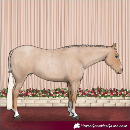 Horse Color:Silver Blue Roan Pearl Tobiano Frame