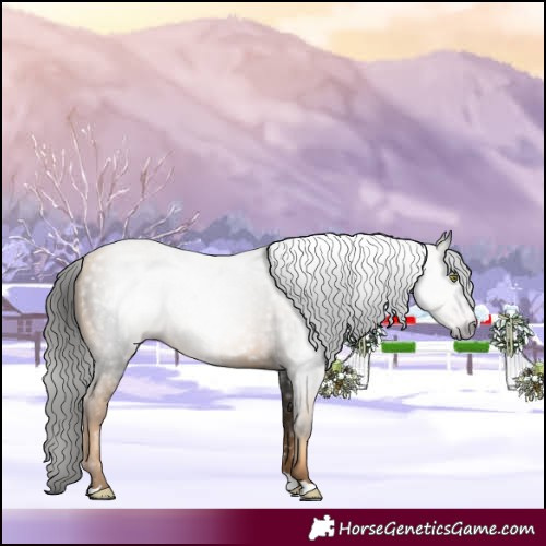 Horse Color:Gray Gold Champagne 