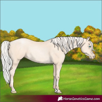 Horse Color:Silver Sable Cream Champagne Pearl 