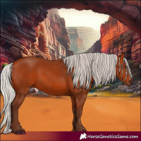 Horse Color:Silver Bay 