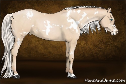 Horse Color:White Spotted Silver Buckskin Pearl 