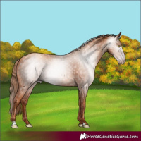 Horse Color:Gray Gold Champagne 