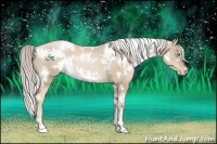 Horse Color:White Spotted Chocolate Palomino Pearl 
