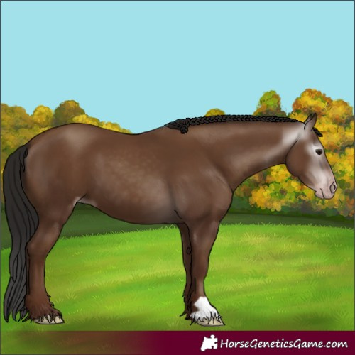 Horse Color:Gray Classic Champagne 