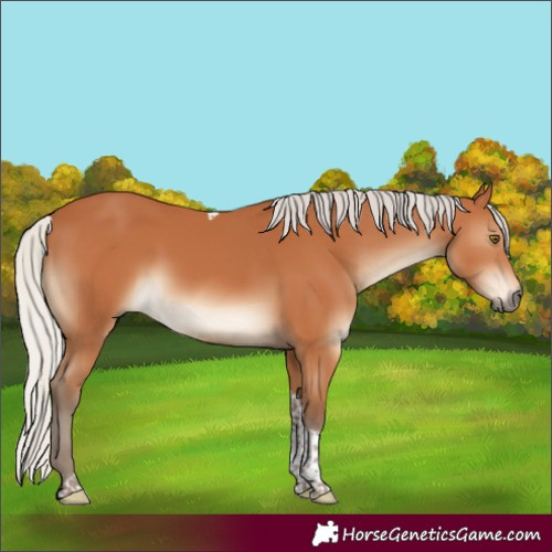 Horse Color:Silver Bay Tobiano