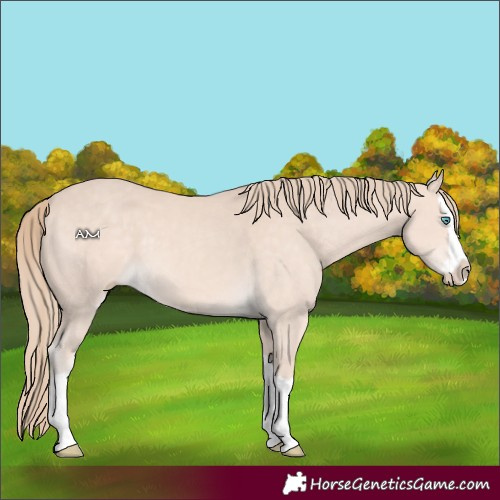 Horse Color:Perlino Mushroom Splash
