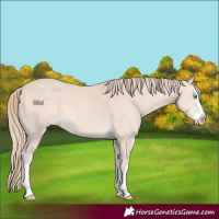 Horse Color:Perlino Mushroom Splash 