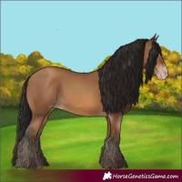 Horse Color:Gray Amber Champagne 