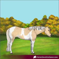 Horse Color:Silver Buckskin Dun Tobiano 