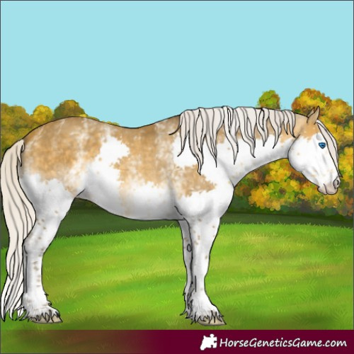 Horse Color:White Spotted Silver Sable Cream Champagne Splash Varnish