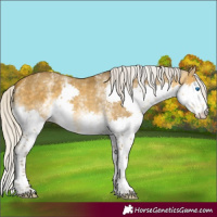 Horse Color:White Spotted Silver Sable Cream Champagne Splash Varnish 