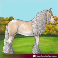 Horse Color:Chocolate Silver Sable Cream Champagne Tobiano Rabicano 