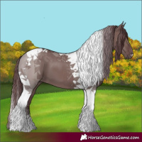 Horse Color:Chocolate Grullo Tobiano 