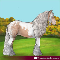 Horse Color:Silver Classic Champagne Tobiano 