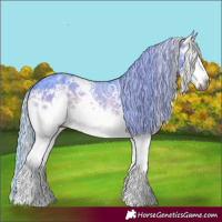 Horse Color:Gray Watercolor White Spotted Silver Brown Ice Onyx