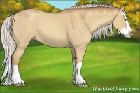 Horse Color:Silver Classic Champagne Dun Splash 