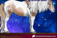 Horse Color:Liver Chestnut Pearl Sabino Splash Tobiano Rabicano