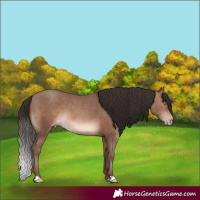 Horse Color:Sable Champagne 