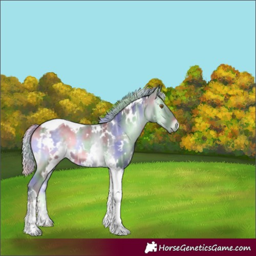 Horse Color:Nacre White Spotted Silver Blue Onyx Chinchilla Ice Tobiano 
