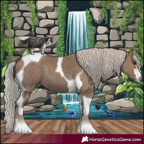 Horse Color:Silver Grullo Tobiano