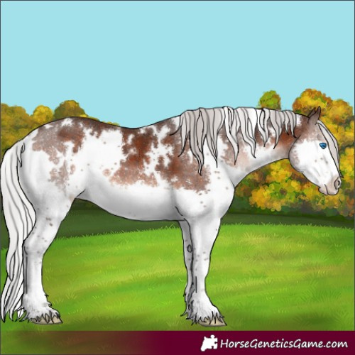 Horse Color:White Spotted Silver Brown Mushroom Splash 