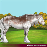 Horse Color:Silver Brown Mushroom Splash Tobiano 
